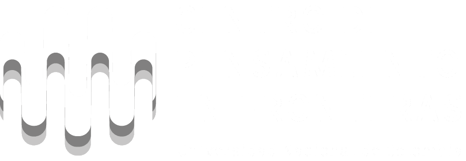 logo centro de pensamiento en fronteras catedra fronteras